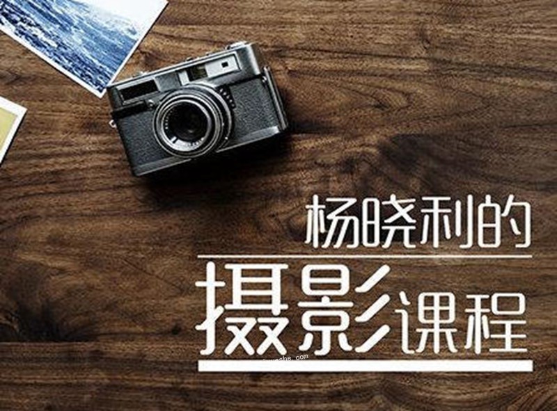 杨晓利拥有大师级的摄影思维：搞定相机手机无人机插图